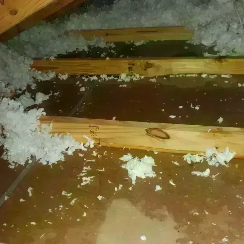 Attic Water Damage in Fairview, NY